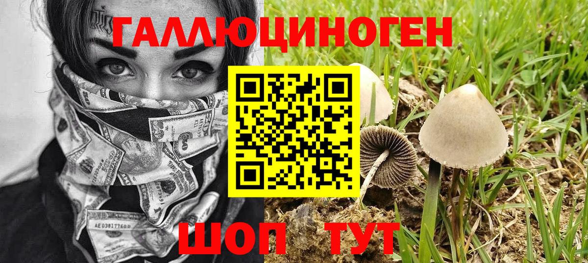 Галлюциногенные грибы MAGIC MUSHROOMS Люберцы